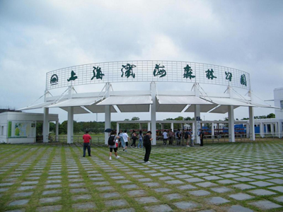 上海滨海森林公园拓展培训基地